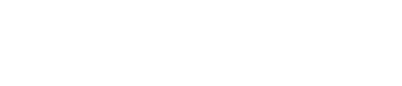 Logo IBMR
